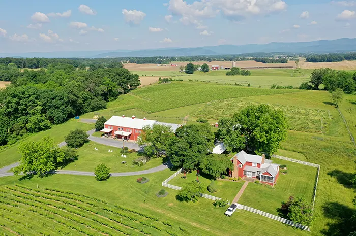 Shenandoah Vineyards