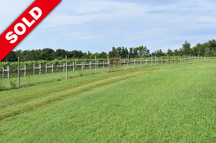 Charming Vineyard & Acreage in Southern Virginia Wine Region